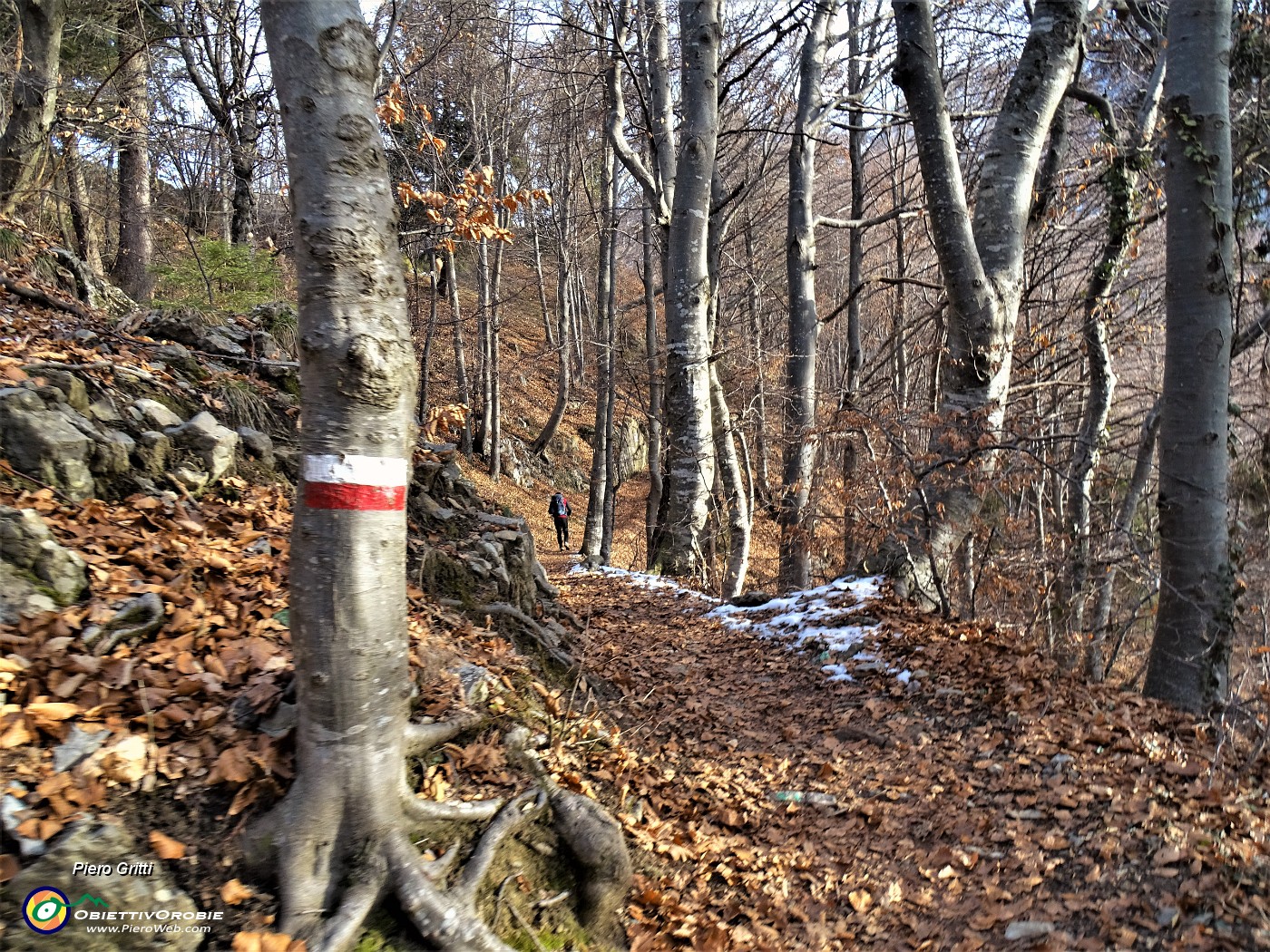 07 Imbocchiamo il sent. 223 per Cima Grem.JPG